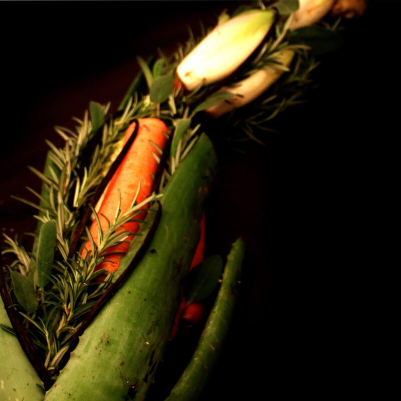 Human Food