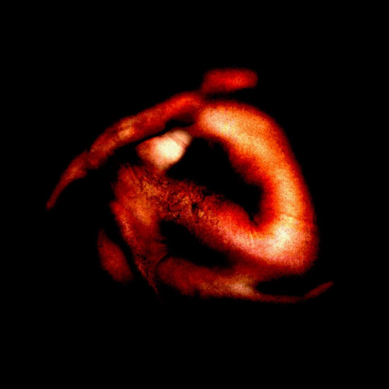 Human Heart