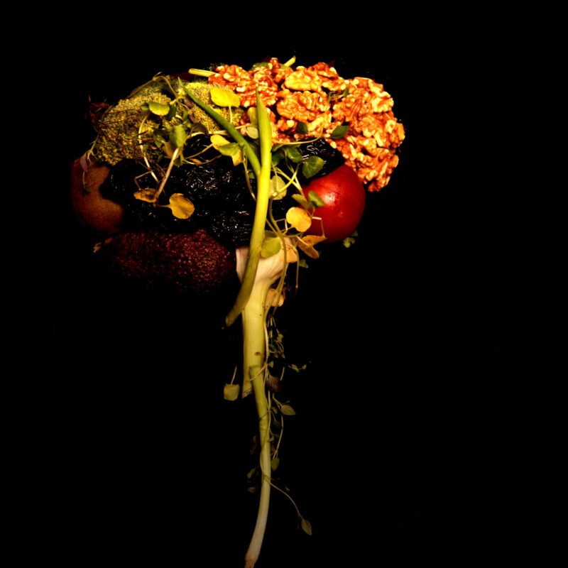 Human Food