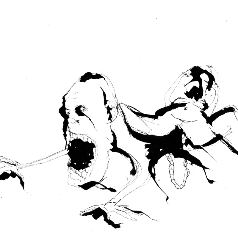 Human Observations